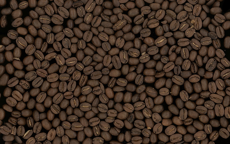 coffee beans HD wallpaper