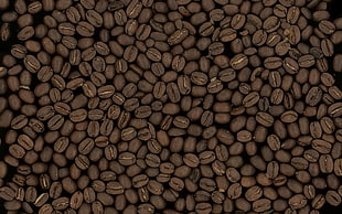 coffee beans
