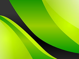 green and black digital wallpaper, vector art
