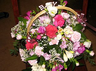 red, pink, and white petaled flower in basket