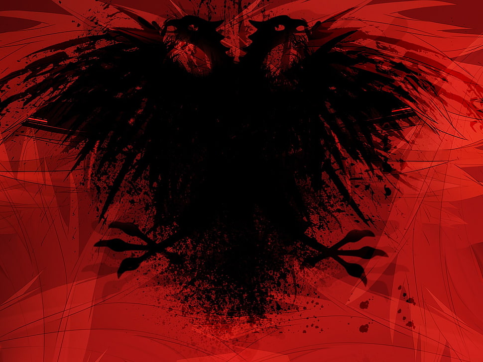 black and red wallpaper, Albania, flag, countries, eagle HD wallpaper