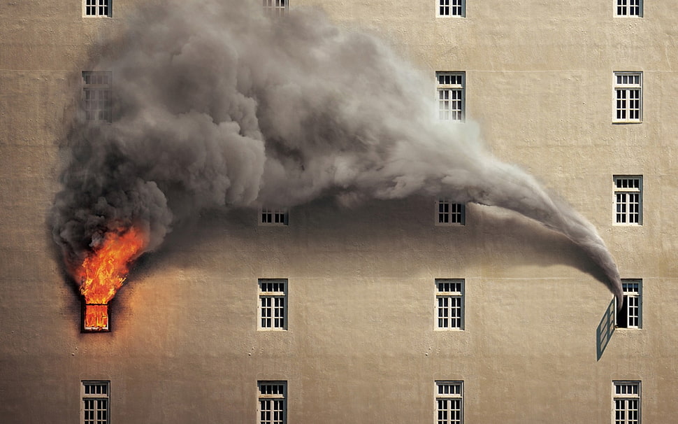 white and black area rug, fire, smoke, building, window HD wallpaper