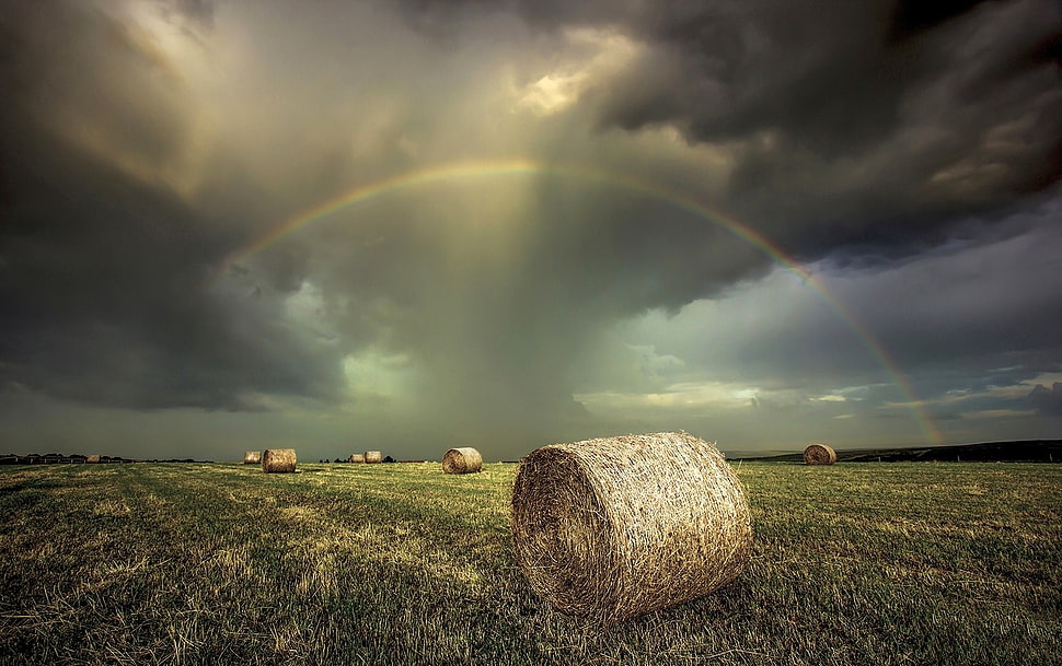 hay bale lot, rainbows, field, clouds, storm HD wallpaper