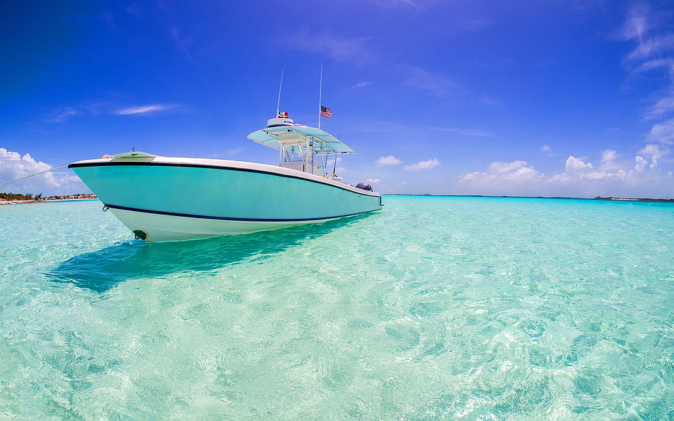 white and teal powerboat on body of water HD wallpaper