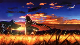 anime illustration, anime, visual novel, red sky, field