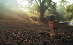 shallow focus photography of danboard near green leaved trees