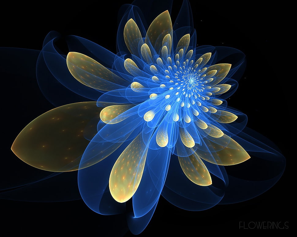 blue and yellow floral LED decor HD wallpaper