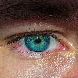 right human blue eye, eyes, sunlight, blue eyes