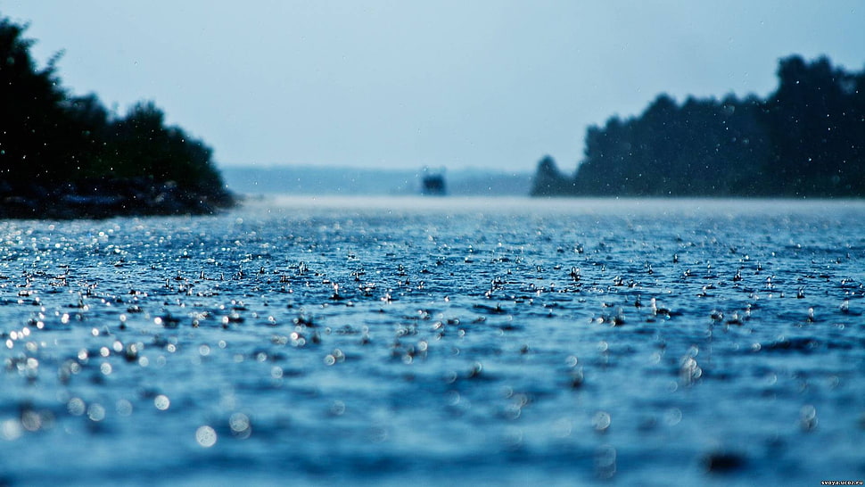 blue ocean, depth of field, lake, water, rain HD wallpaper