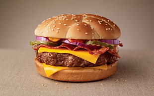 cheese burger with sesame seeds, food, burgers, hamburgers, fast food