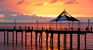 silhouette photo of dock, adelaide, australia HD wallpaper