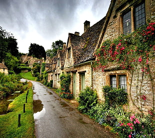brown 1-storey stone house, town, flowers, house