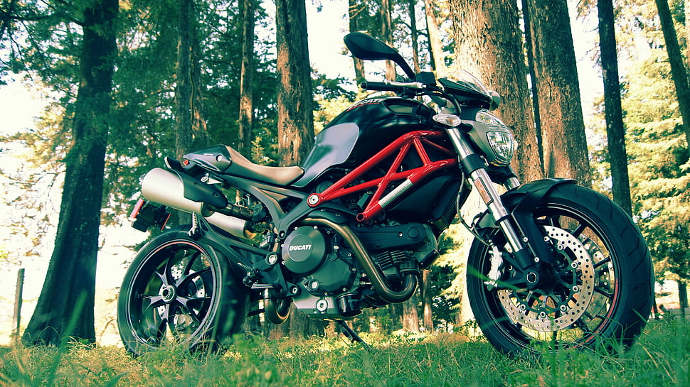 black and red naked motorcycle, Ducati, Ducati Monster 796, Lectro Components, motorcycle HD wallpaper