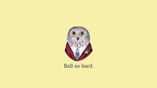 Owl wearing dress suit artwork