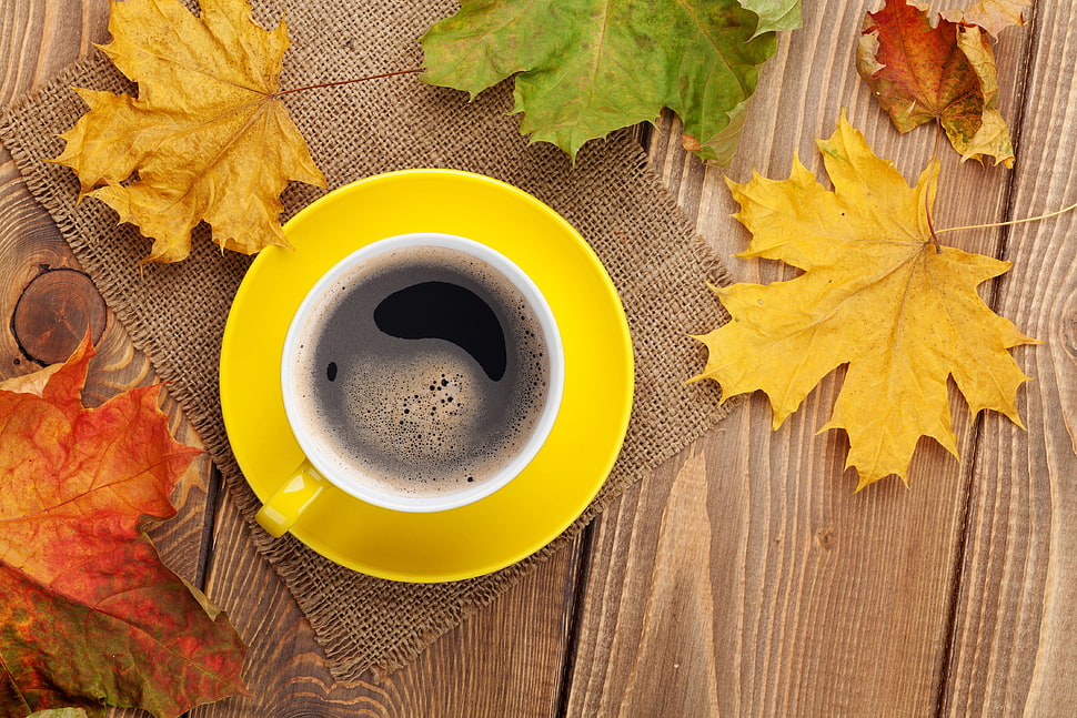 white and yellow ceramic teacup with saucer, fall, maple leaves, mugs, coffee HD wallpaper