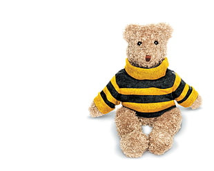 bear plush toy wearing sweater