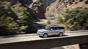 silver SUV, Range Rover, car, vehicle