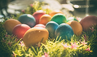 assorted-color easter egg lot, outdoors, eggs, easter eggs, colorful HD wallpaper