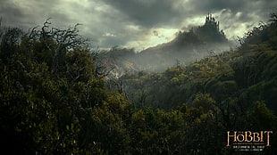 The Hobbit digital wallpaper, The Hobbit, movies