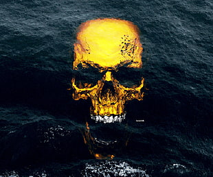 brown skull illustration, skull, Pacific Ocean, gold