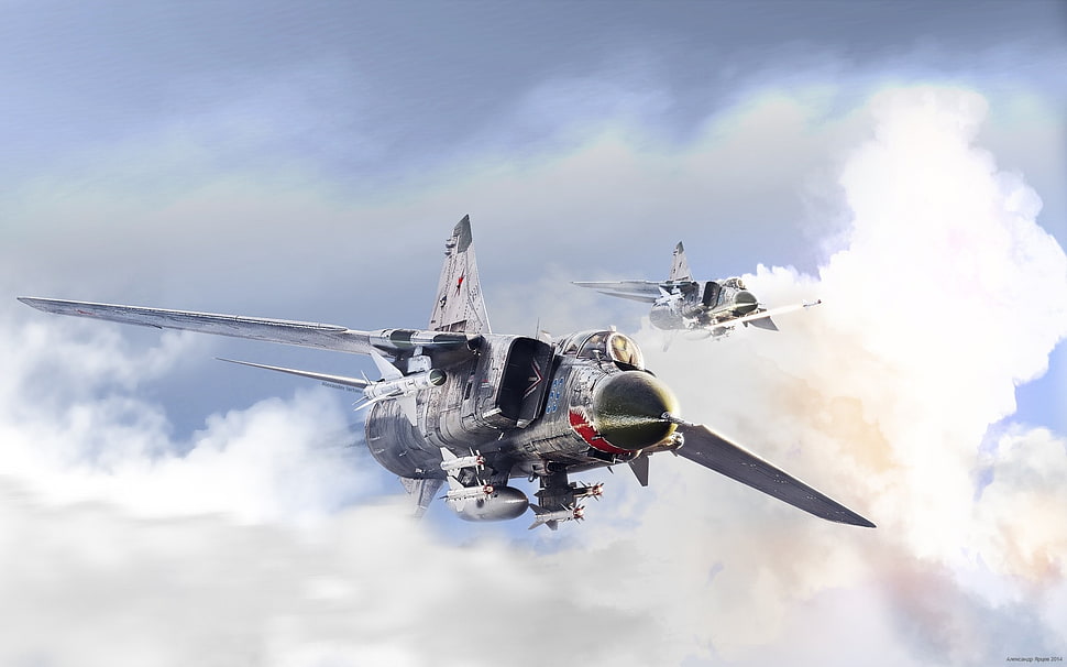 gray and white airplane illustration, MiG-23 HD wallpaper