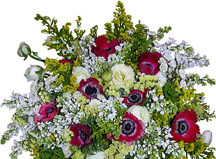 bouquet of red, green, and purple petaled flowers against white background