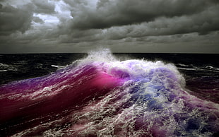 photo of purple beach wave HD wallpaper
