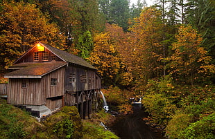 brown wooden house, forest, watermills
