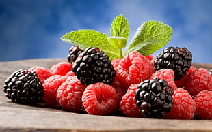 selective focus photo of berries HD wallpaper