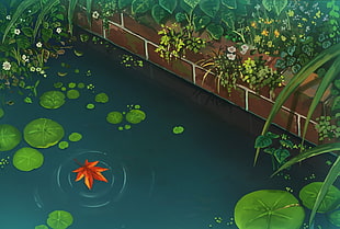 green waterlilies, garden, Japanese Garden, fall, artwork HD wallpaper