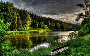 brown wooden bench, lake, forest, bench, nature