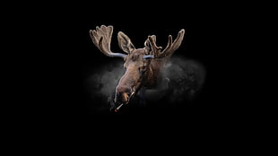 moose smoking cigarette illustration HD wallpaper