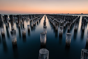 white-and-black wooden poles in still body of water during golden hour HD wallpaper