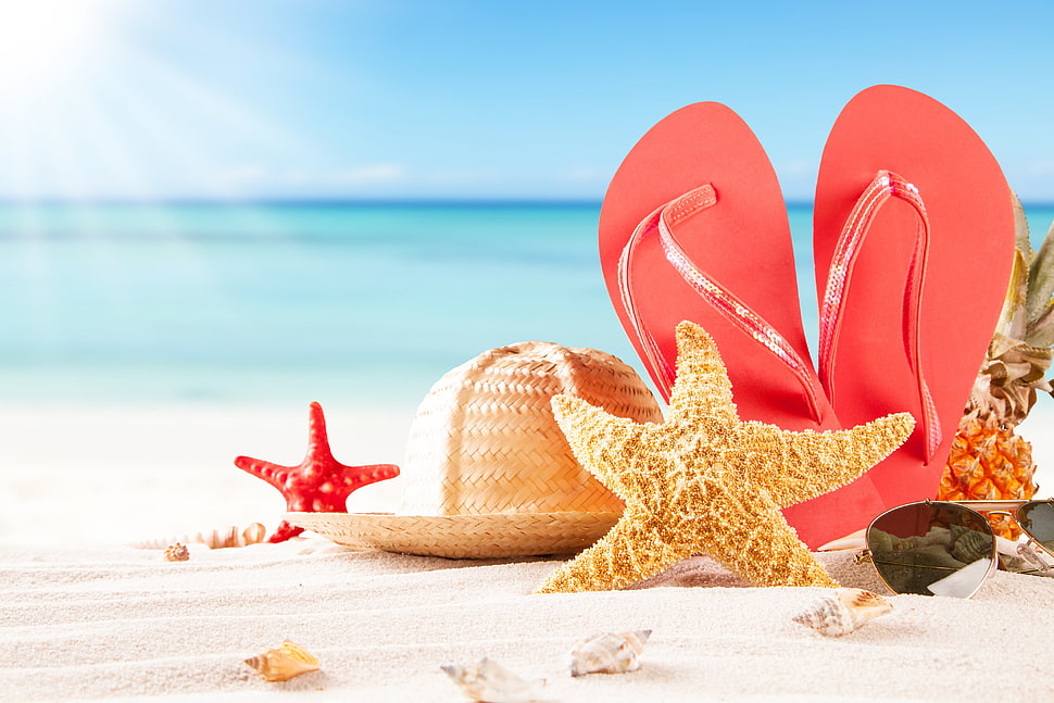 black flip-flops and brown starfish, sandals, seastar, pineapples, hat HD wallpaper