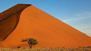 dessert mountain, desert, landscape, sand, dune HD wallpaper