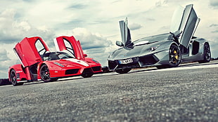 two red and black sport cars, Lamborghini, Ferrari, car, vehicle