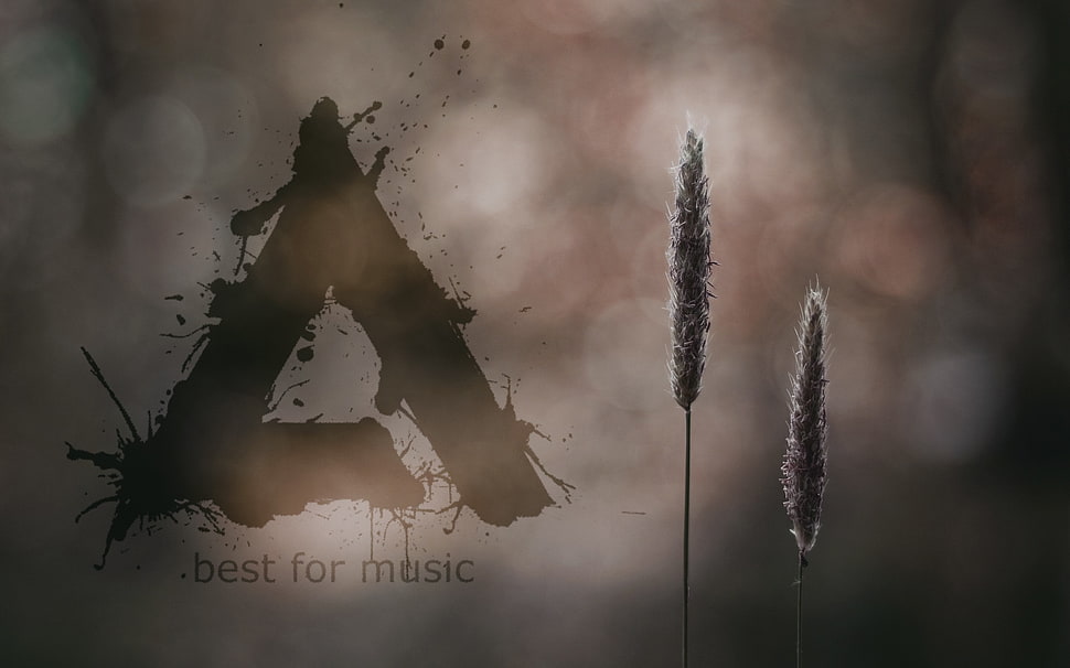 music, Aimp HD wallpaper