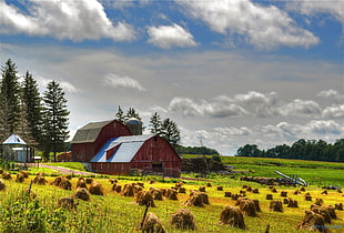 barn with bales of hays, york HD wallpaper