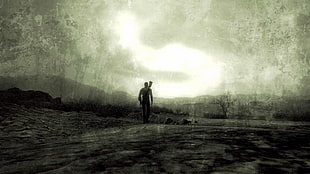 man walking along open field wallpaper, Fallout, Fallout 3, artwork