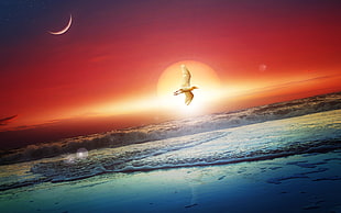 bird flying during sunrise painting HD wallpaper