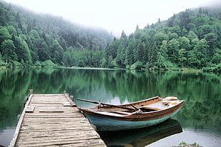 brown and green wooden boat, Turkey, Artvin