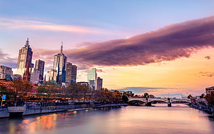 city building, cityscape, Melbourne, Australia HD wallpaper