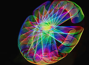 purple, green, and purple iridescent light bokeh