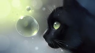 closeup photo of black cap near clear bubble