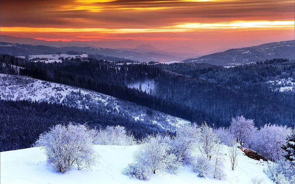 black forest, winter, valley, snow, mountains HD wallpaper