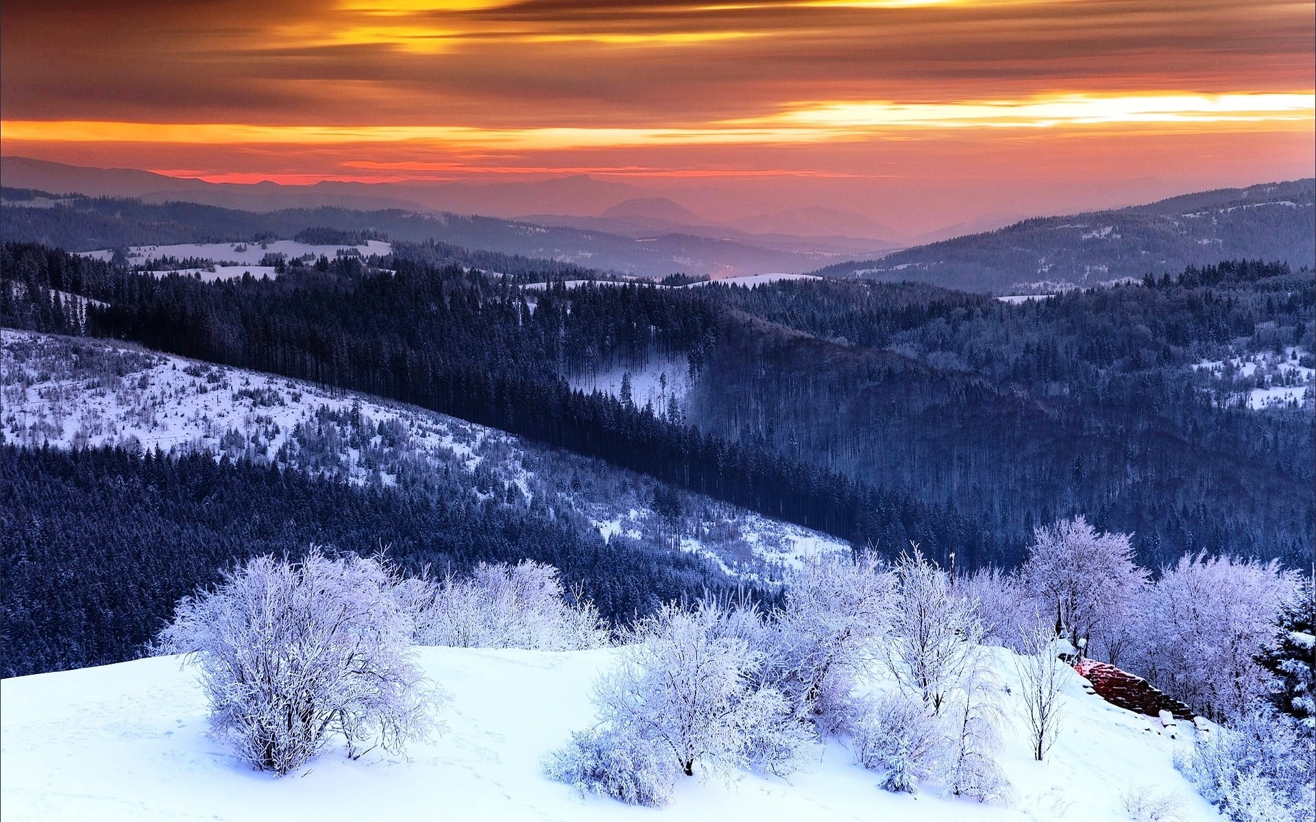 black forest, winter, valley, snow, mountains