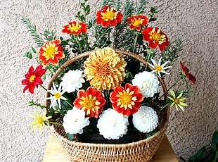 red and white petaled flowers in brown wicker basket