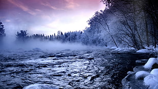 rippling body of water, landscape, mist, forest, snow