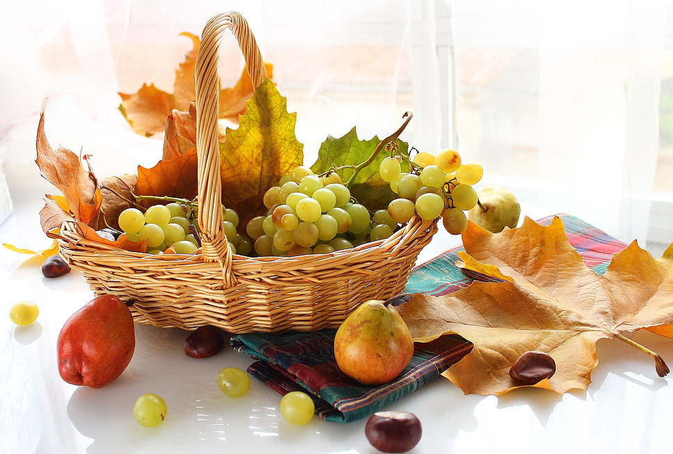 photo of fruits in basket HD wallpaper