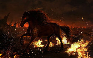 steel wool photography of horse running on bed of fire HD wallpaper